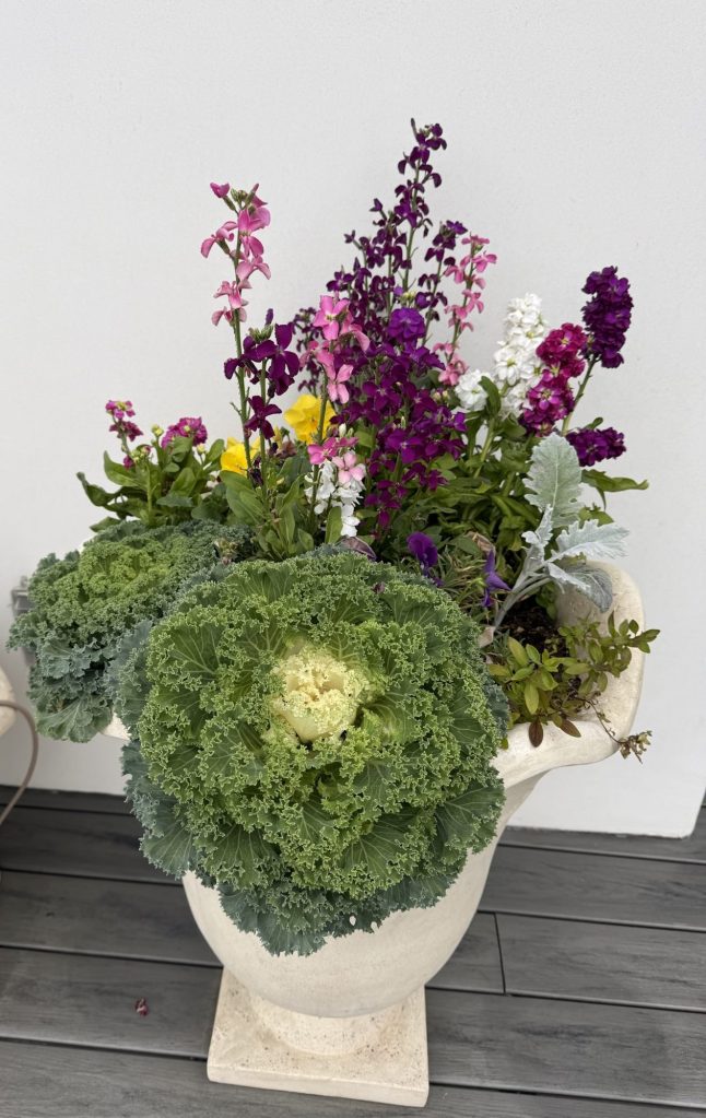Pot filled with brightly colored and variously textured flowers and plants.