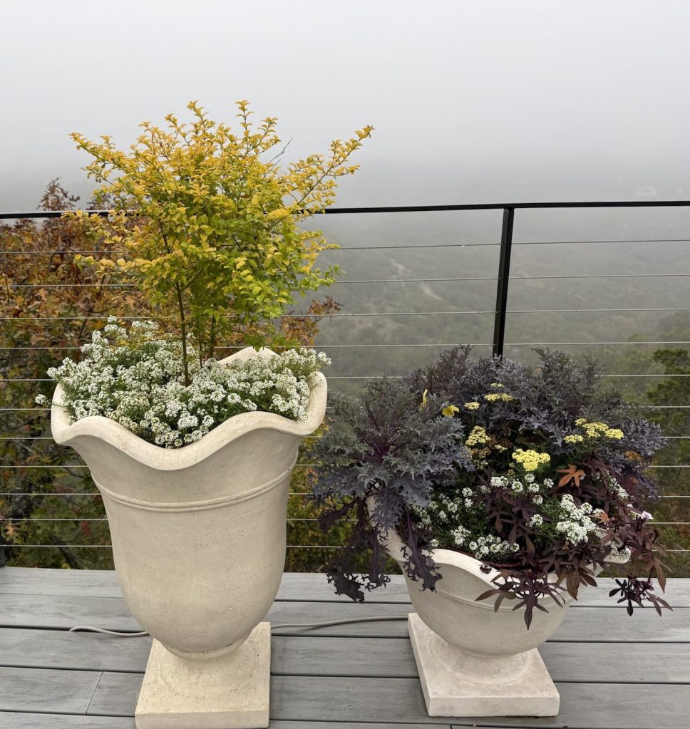 Abundantly planted pots on a patio overlooking a misty valley